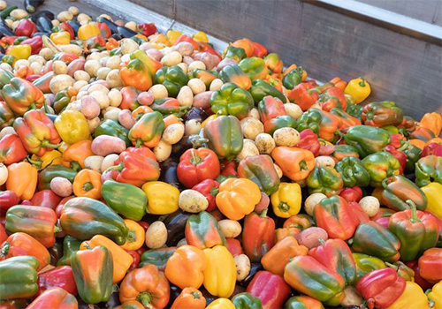 Expired Organic bio waste. Mix Vegetables and fruits in a huge container, Organic Compost heap.